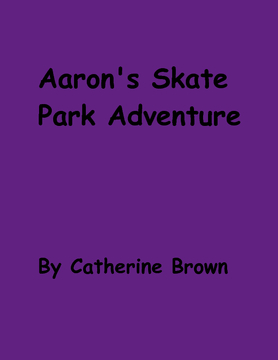 Aaron's Skate Park Adventure