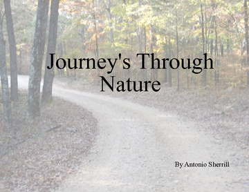 Journey’s Through Nature