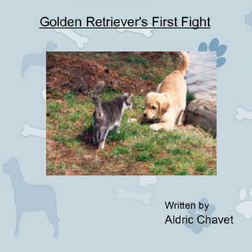 Golden Retriever's First Fight