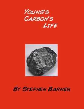 Carbon Baby Book