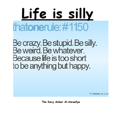 Life is silly