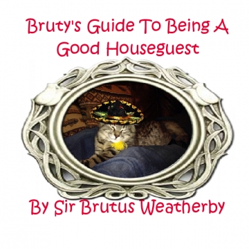 Bruty's Guide to Being a Good Houseguest