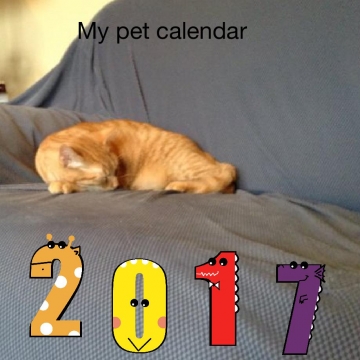 My 2017 Calendar