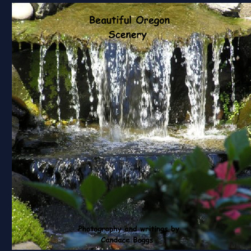 Beautiful Oregon Scenery