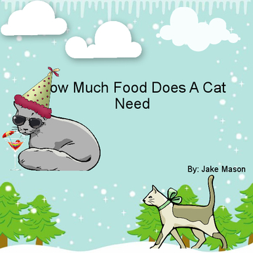 How Much Food Does A Cat Need?
