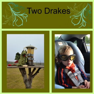 Two Drakes