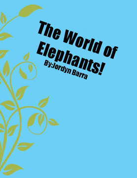 The World of Elephants!