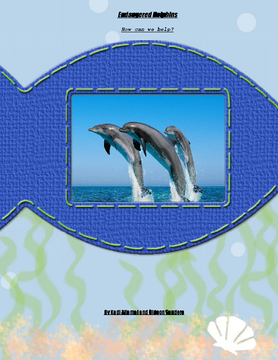 Endangered Dolphins
