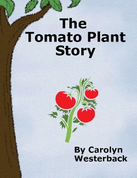 The Tomato Plant Story