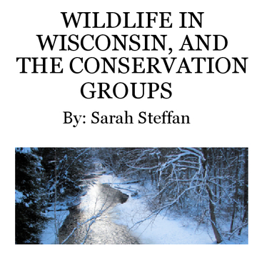 Wildlife in Wisconsin, and The Conservation of It