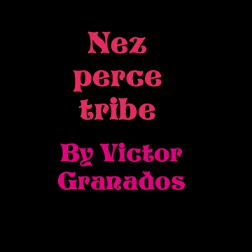 Nez Pearce tribe