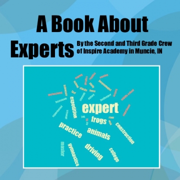 A Book about Experts
