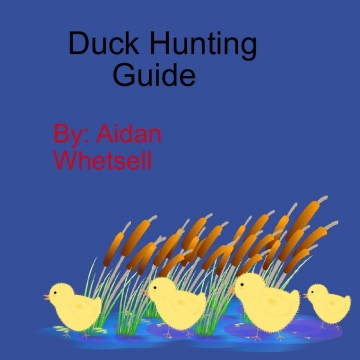 Duck Hunting Guide