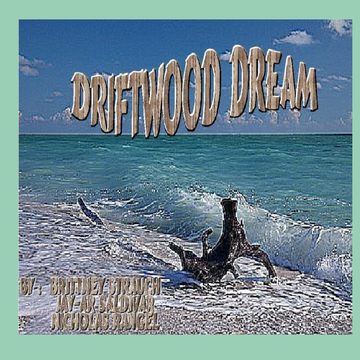 Driftwood Dream
