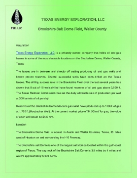 TEXAS ENERGY EXPLORATION, LLC - Brookshire Salt Dome Field, Waller County