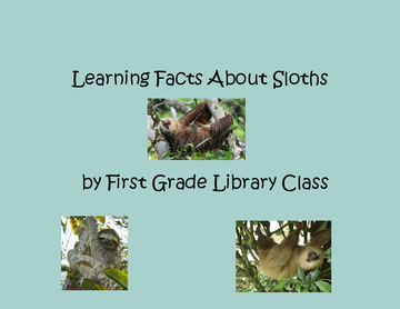 Facts About Sloths