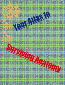 Your Atlas to Surviving Anatomy