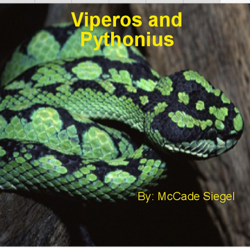 Viperos and Pythonius