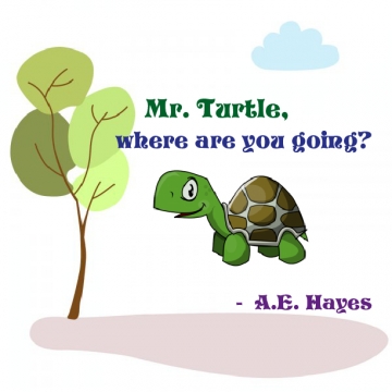 Mr. Turtle, where are you going?