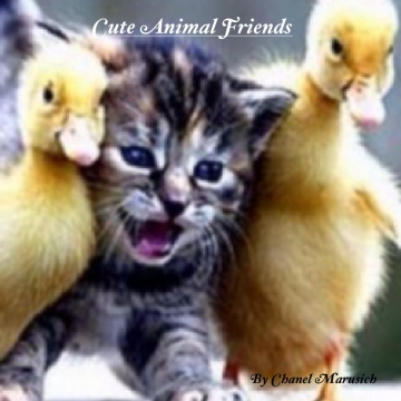 Cute Animal Friends