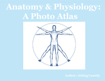 Anatomy & Physiology Photo Atlas