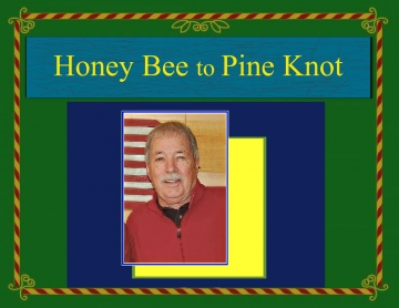Honey Bee to Pine Knot