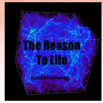 The Reason To Life