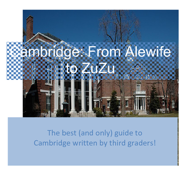 Cambridge: From Alewife to ZuZu