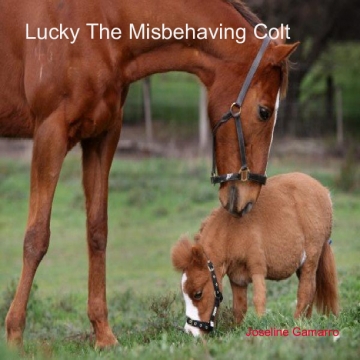 Lucky The Misbehaving Colt