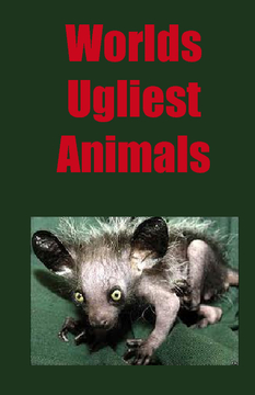 World's Ugliest Animals