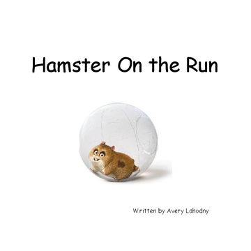 Hamster On the Run