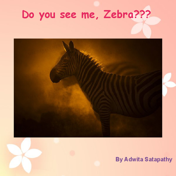 Do you see me, Zebra?