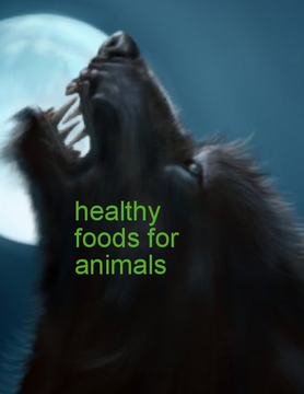 Healthy foods for animals