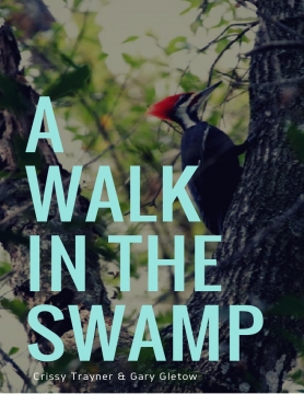 A Walk in the Swamp