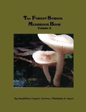  The Forest School Fungi