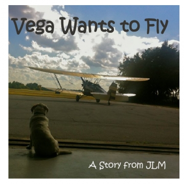 Vega Wants to Fly