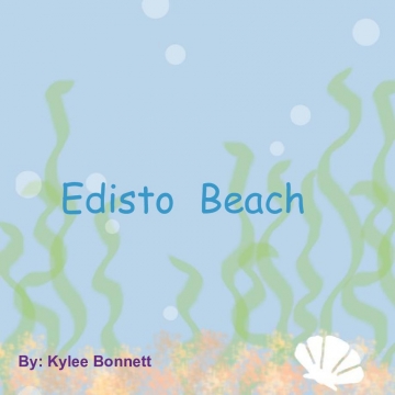 Edisto Beach