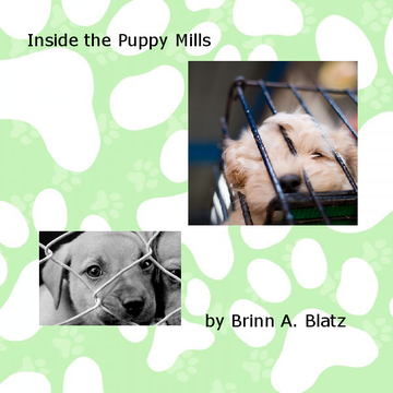 Inside  the Puppy Mills