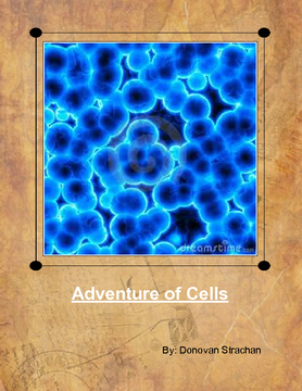 Adventure of Cells