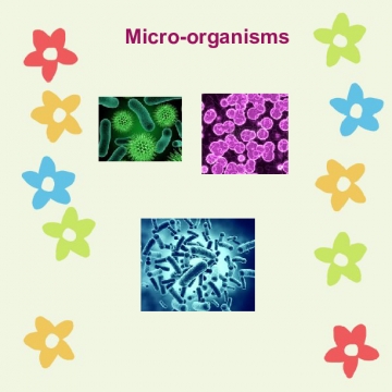micro-organisms