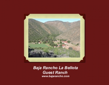 Baja Rancho La Bellota Guest Ranch