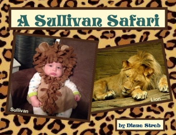 Sullivan Safari