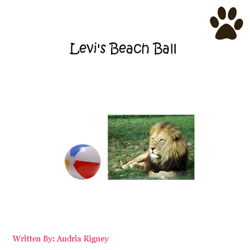 Levi's Beach ball.