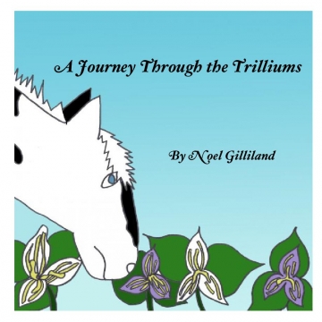 A Journey through Trilliums