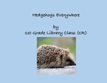 Hedgehogs Everywhere