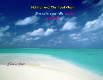 Habitats and The Food Chain