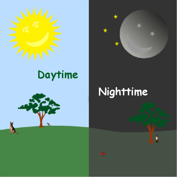 Daytime, Nighttime