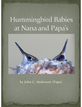 Hummingbird Babies at Nana and Papa’s