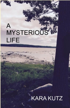 A Mysterious Life