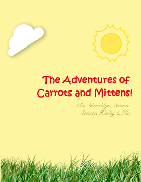 The Adventures of Carrots and Mittens